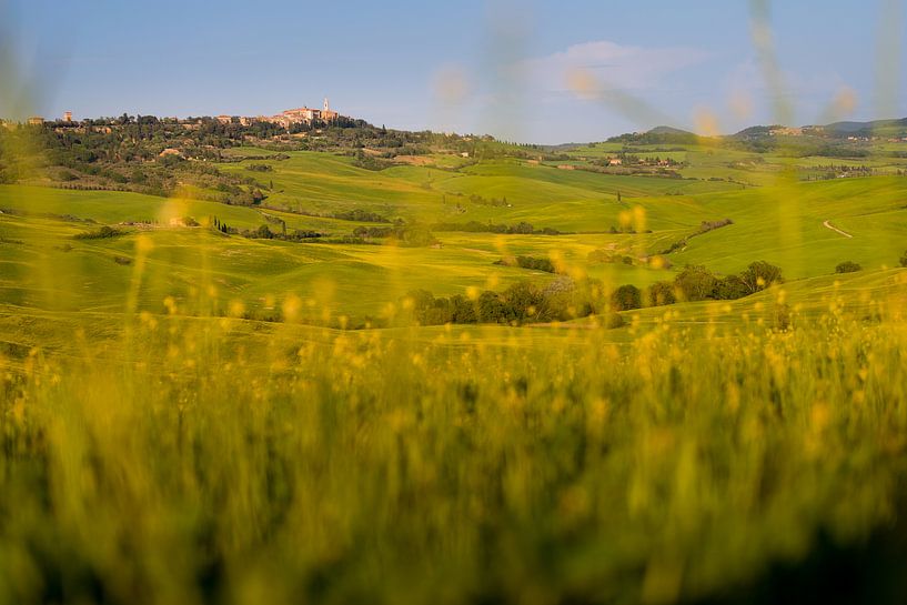 Landschap in Zuid Toscane / Val d'Orcia van Damien Franscoise