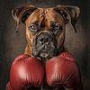 Boxer von Schwarzer Kaffee
