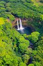 Wailua-Wasserfall, Kauai, Hawaii von Henk Meijer Photography Miniaturansicht
