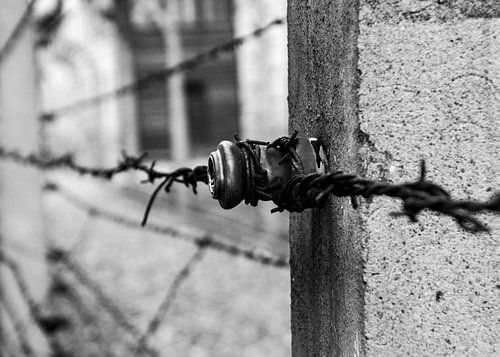 Opdat we nooit vergeten -04