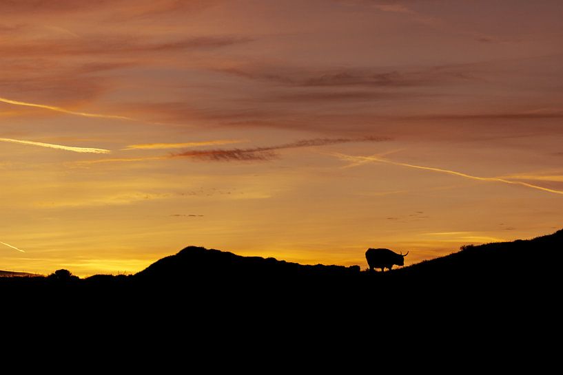 Silhouette eines schottischen Hochlandbewohners auf Texel von Oog in Oog Fotografie