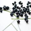  Fruits Bleu Collage sur Wendy Bos