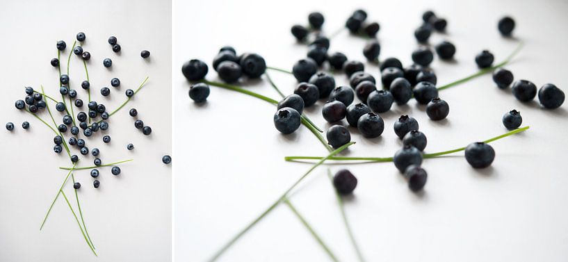  Fruits Bleu Collage par Wendy Bos