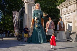 Reuzen van Sander de Wilde foto/grafiek