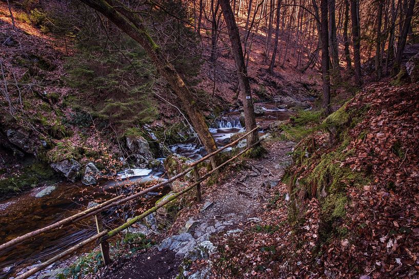 Gebirgsfluss La Hoëgne von Rob Boon