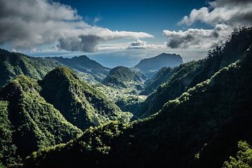 Groene bergen in Madeira van Caroline Pleysier