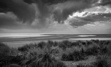 La plage et les dunes de la Maasvlakte en noir et blanc sur Marjolein van Middelkoop