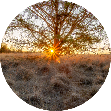 Sunrise of a new day