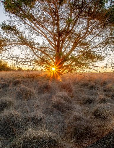 Sunrise of a new day