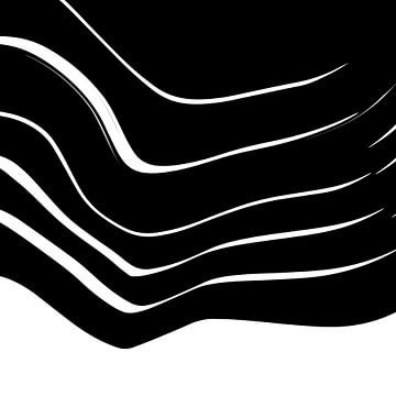 Organic 10S | Black & White Minimalistic Abstract by Menega Sabidussi