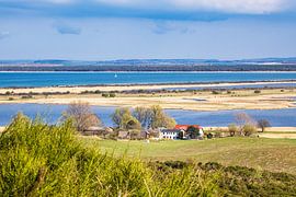 Blick vom Dornbusch auf Hiddensee auf Grieben von Rico Ködder