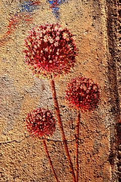 Rusty Allium by Klaartje Majoor
