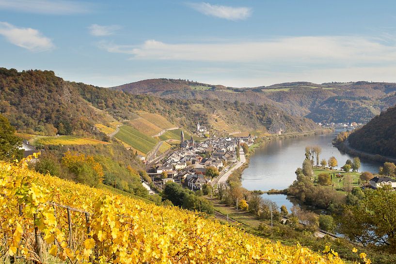 vue sur les vignobles le long de la Moselle par Antwan Janssen