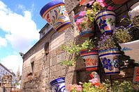 Colourful flower pots in french street