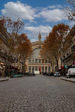 Gare du Nord, Paris von Nynke Altenburg