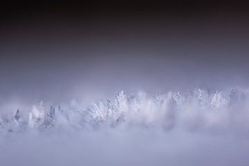 ijskristallen dichtbij van Tania Perneel