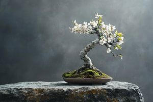 Bonsaï à fleurs d'amandier sur une pierre en béton