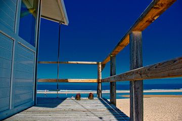 The Baywatch House