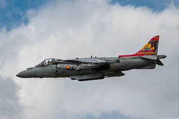 Harrier espagnol à Riat 2024