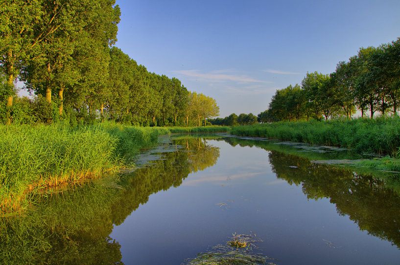 Rustgevende natuurfoto von Martin Ligtvoet