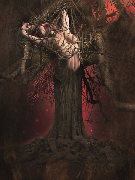 Dunkles Holz von Babette van den Berg