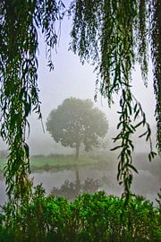 Baum im Nebel Voorburg von Michel Groen