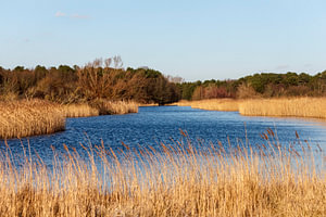 waterleidingduinen