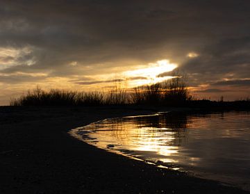 Golden Shore van Foto Studio Labie