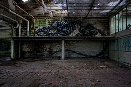 verlaten fabriek von Ivana Luijten