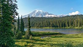 Stratovolcano Mount Rainier. by Jaap van den Berg
