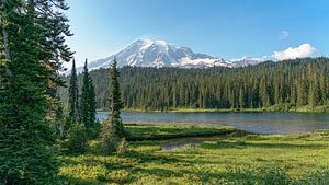 Stratovulkan Mount Rainier.
