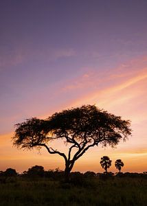 Sonnenaufgang in Uganda