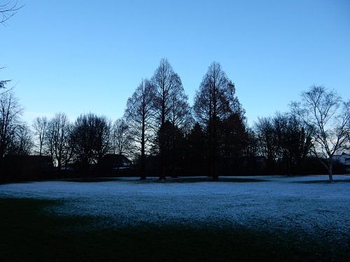 parc en hiver