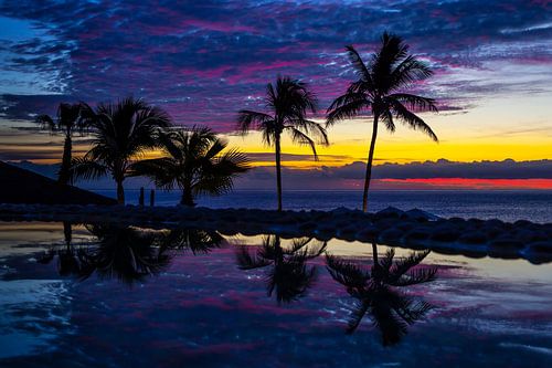 Vibrant Serenity