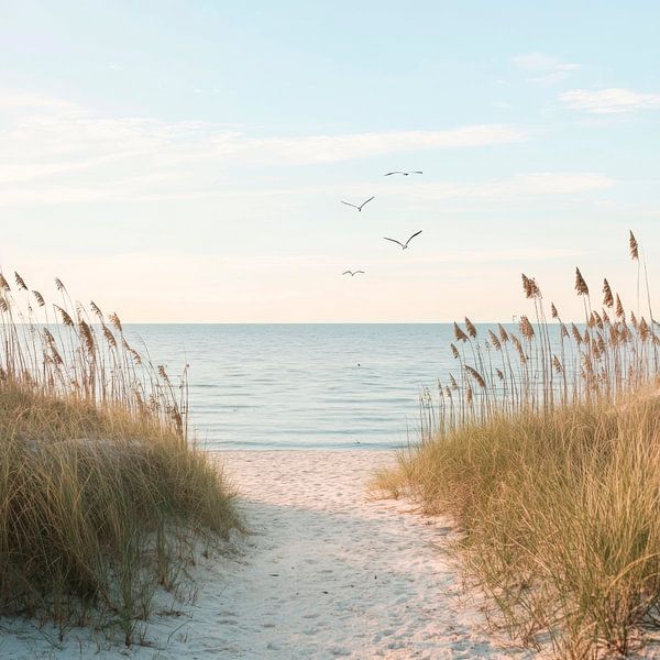 Beach path view by Poster Art Shop