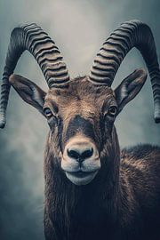 Gros plan sur le majestueux bouquetin sur Poster Art Shop