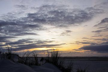 Herbe à bernache sur une dune de plage néerlandaise avec coucher de soleil sur Peter van Weel