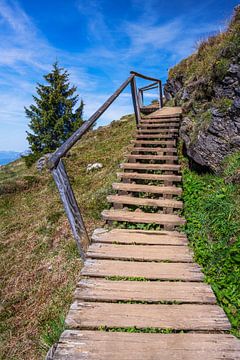 Wandelpad naar de Kitzbüheler Horn in de Tiroler Alpen van ManfredFotos