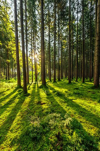 Lever de soleil en Haute-Bavière sur Achim Thomae Photography