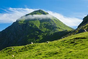Berge auf den Lofoten in Norwegen