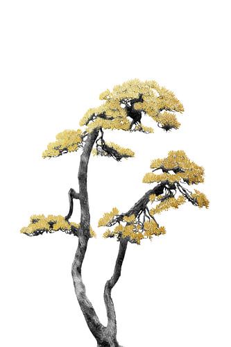Bonsai-Baum 06