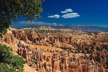 Bryce Canyon National Park by Henk Meijer Photography