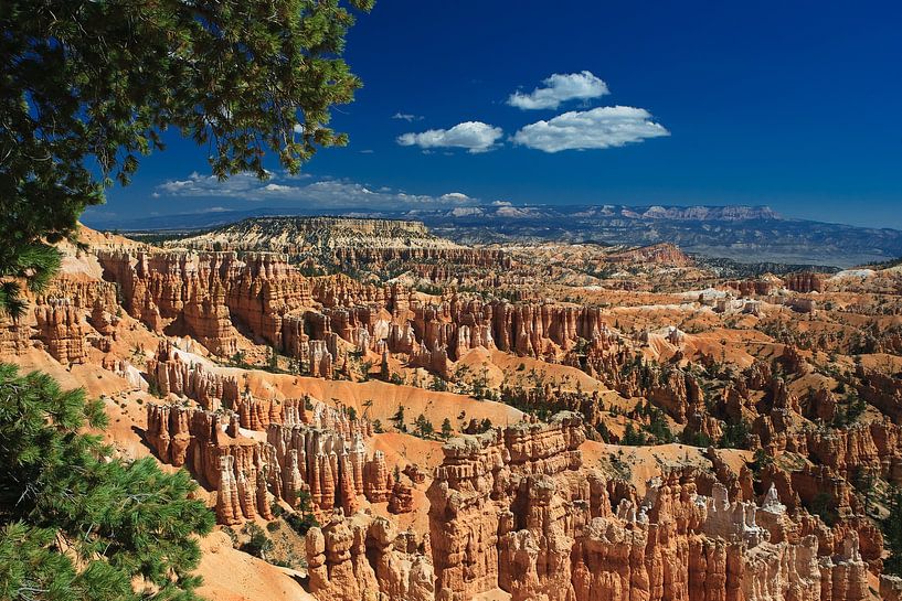 Bryce Canyon National Park von Henk Meijer Photography