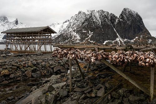 Nusfjord, Norway Lofoten