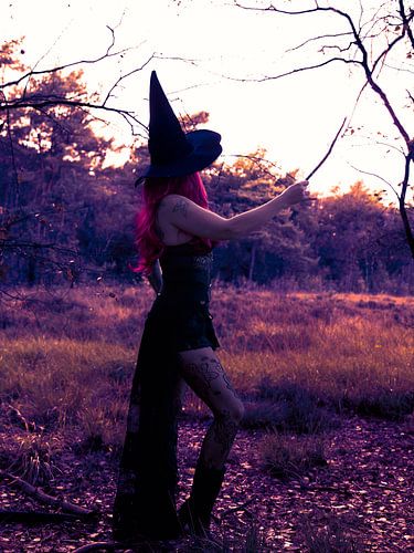 Enchanted Forest Witch