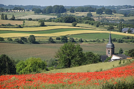 La région vallonnée du Limbourg méridional, à Eys, avec au premier plan un champ de coquelicots… sur Mathilde te Lintelo