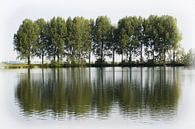 Een rij bomen langs een waterplas van Gerrit Veldman thumbnail