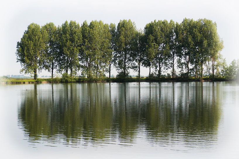 Een rij bomen langs een waterplas van Gerrit Veldman