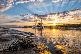 Abendstimmung an der Ems von thowehey