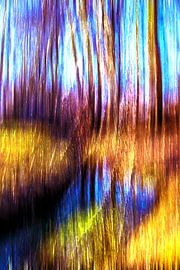 Concept digitalart : Swabian landscape von Photoart-Naegele